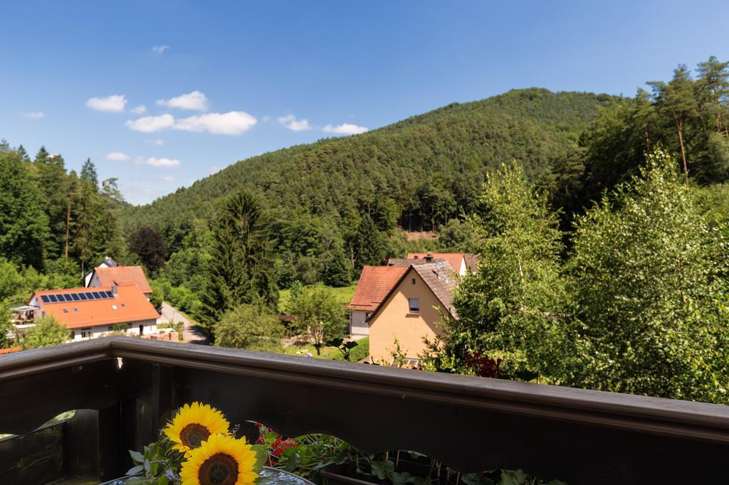 Hotel Die Kleine Blume Erfweiler Εξωτερικό φωτογραφία